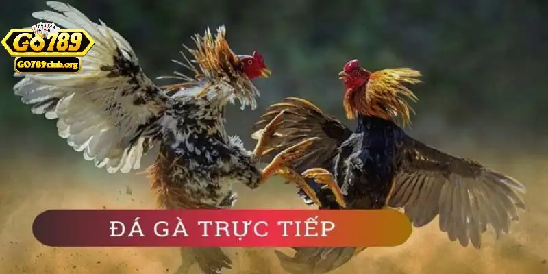 Ưu điểm của hình thức cược trực tiếp